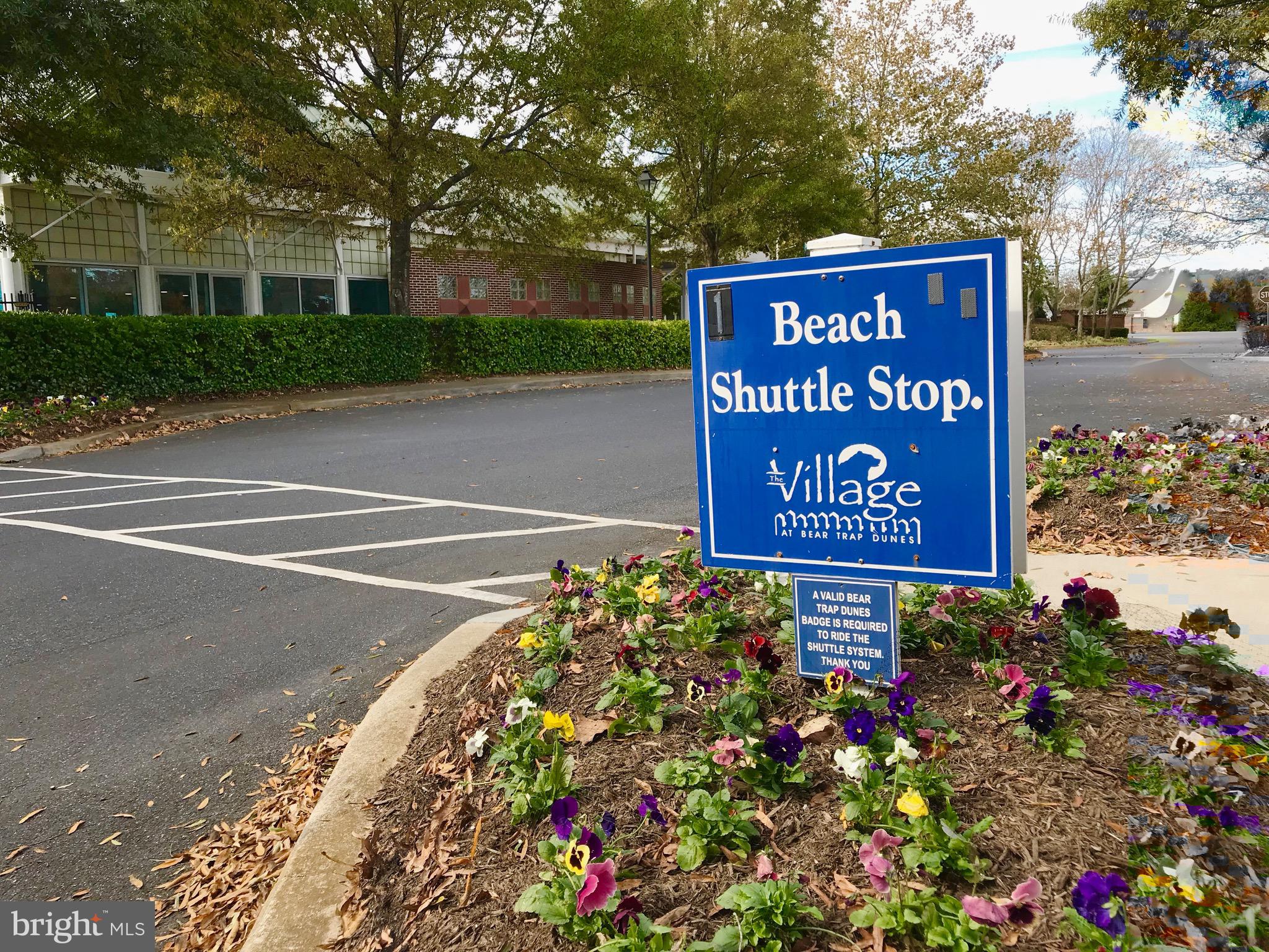 BEAR TRAP - Residential