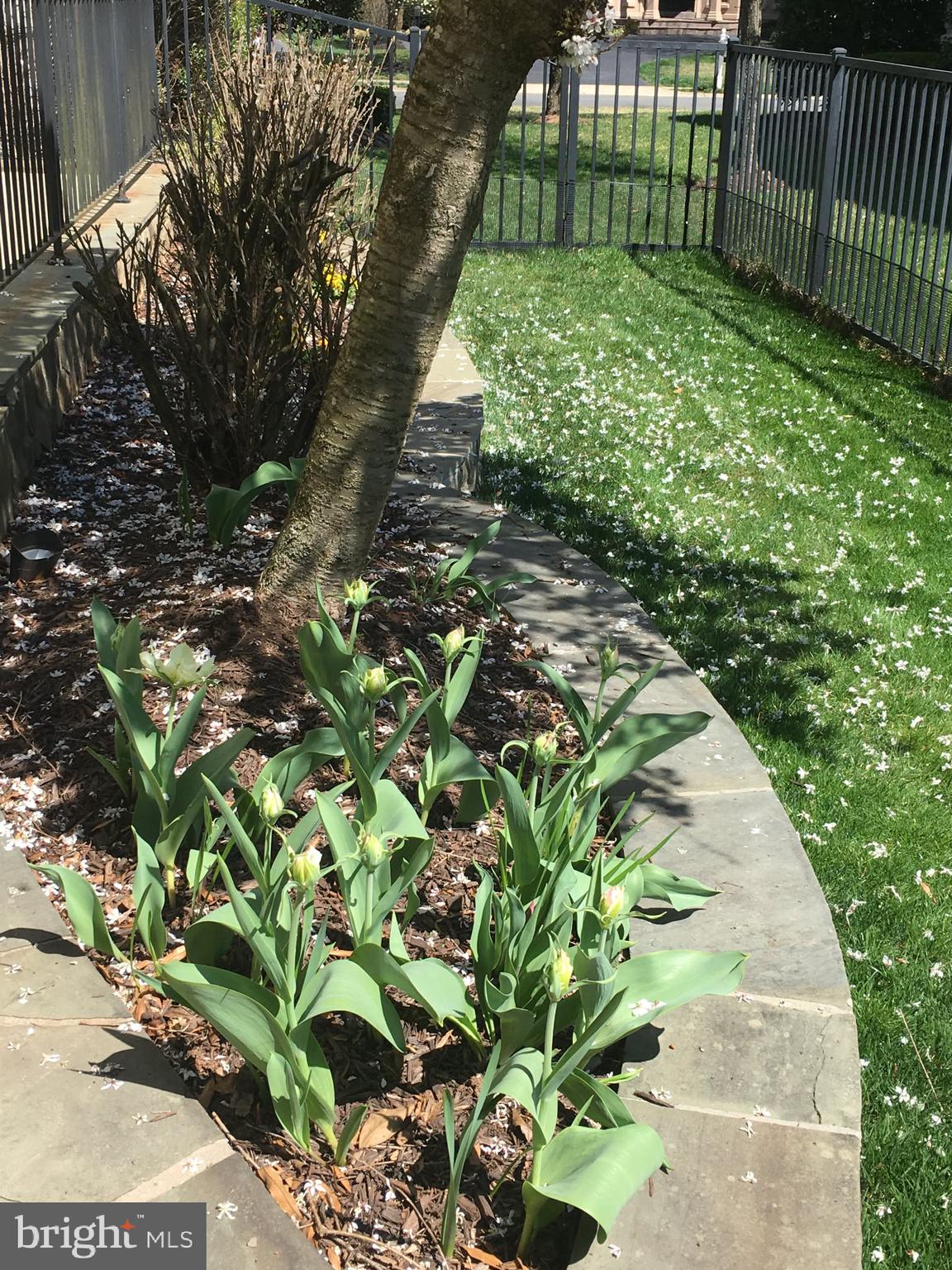 LAKE MANASSAS - Residential