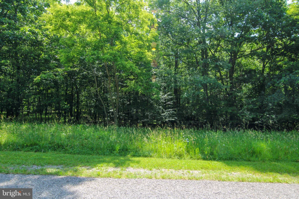 80 Sundance Way, Mc Henry, MD 21541