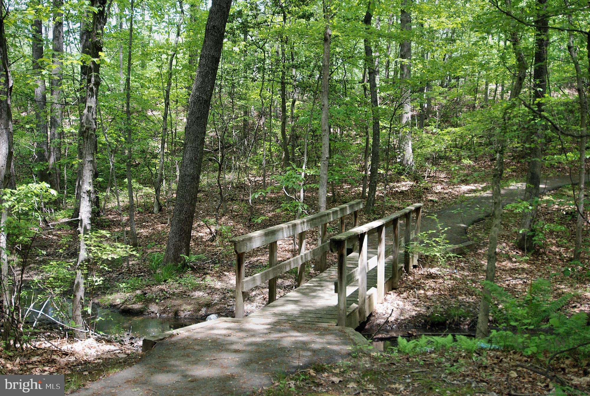 BURKE CENTRE CONSERVANCY - Residential Lease