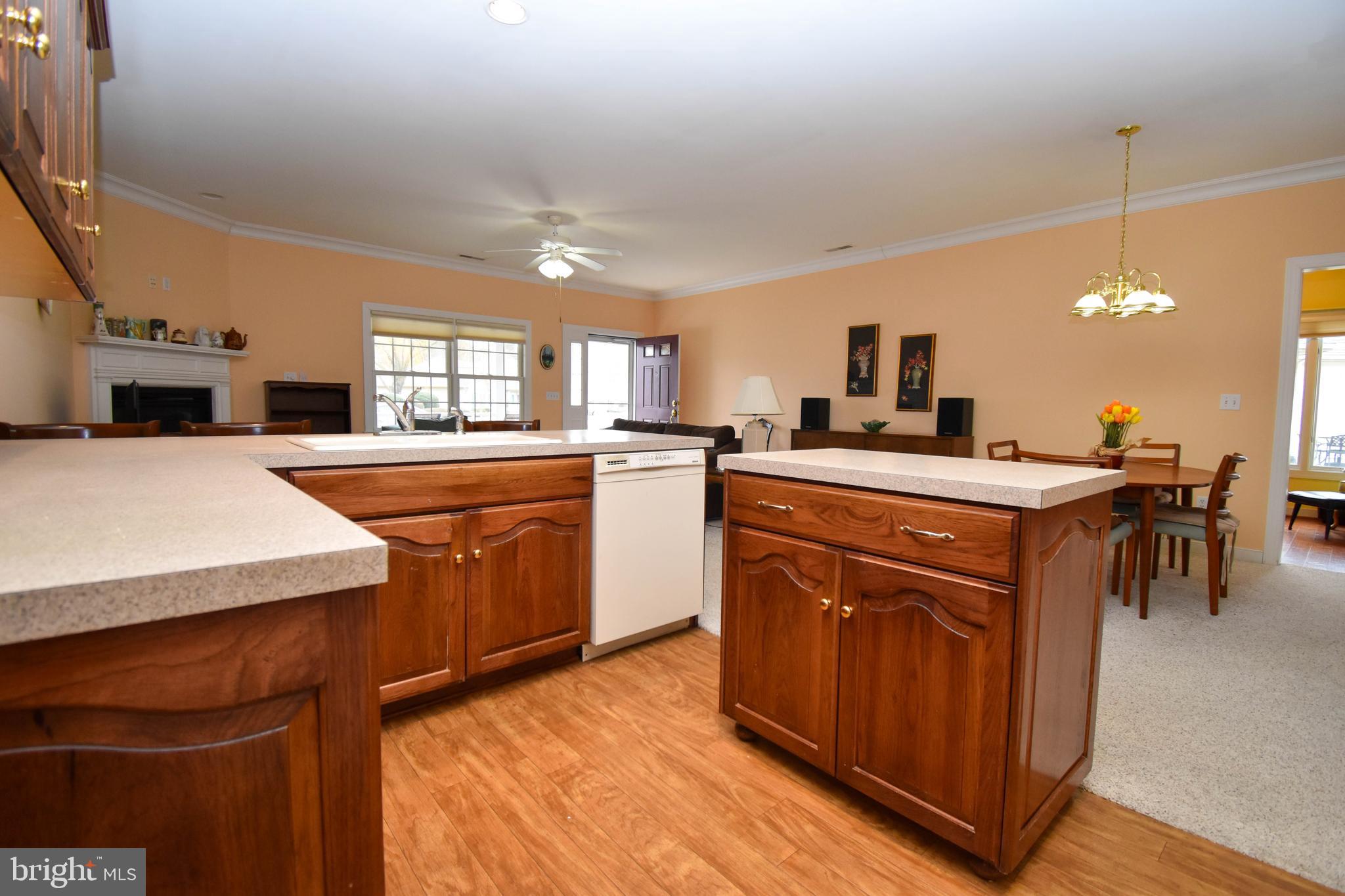 VILLAGE OF CINDERBERRY - Residential