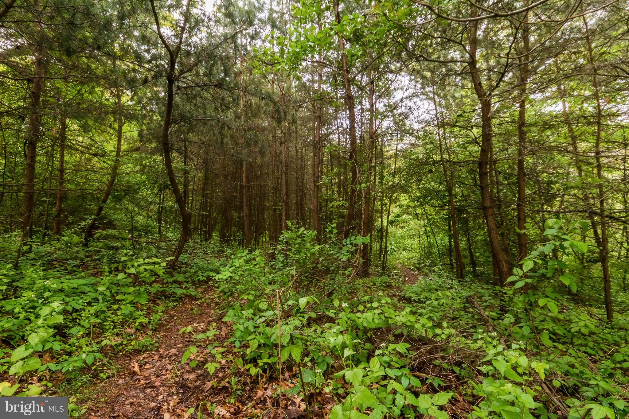 SPORTSMANS PARADISE - Residential Lease