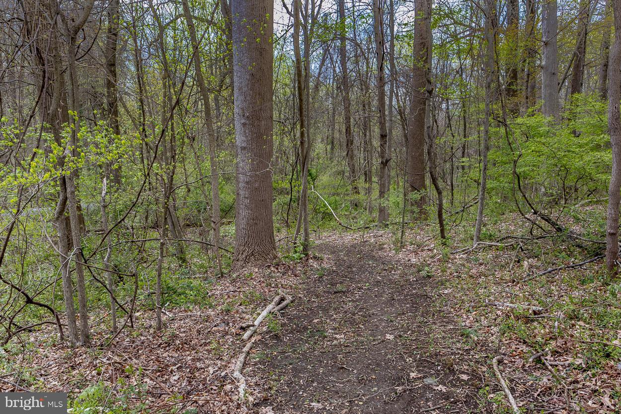 BEL AIR DOWNTOWN - Residential