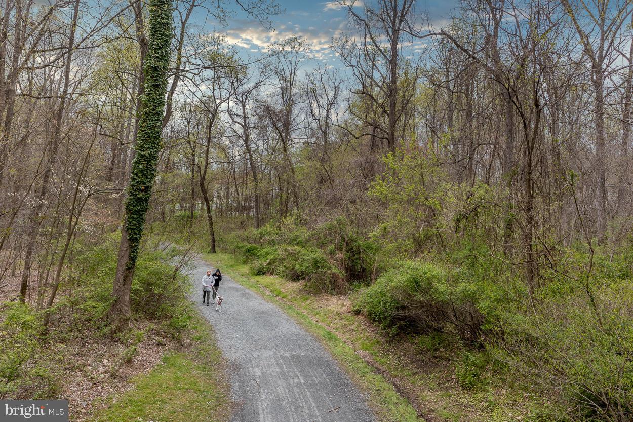 BEL AIR DOWNTOWN - Residential