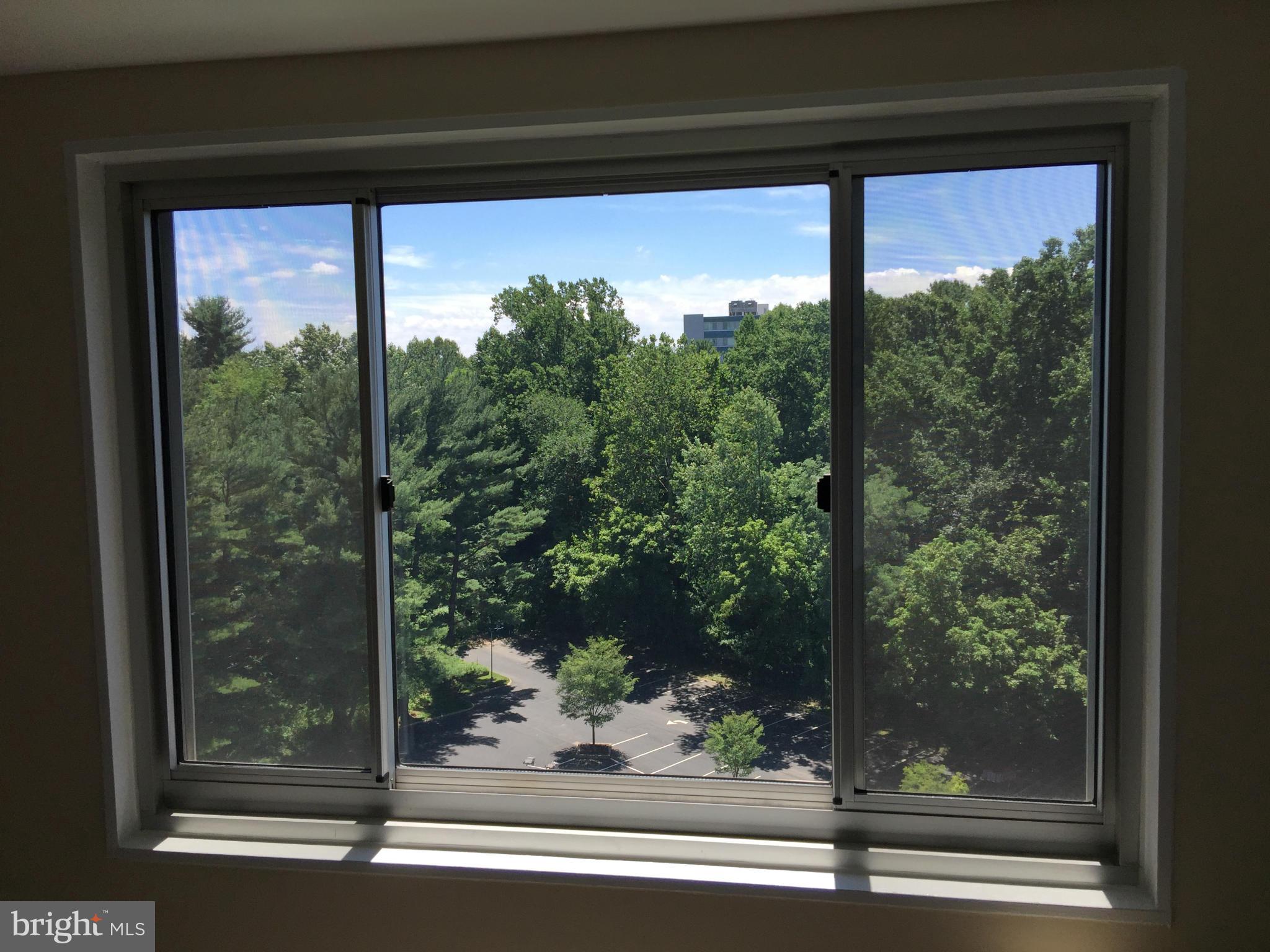 PARK SUTTON CODM - Residential Lease