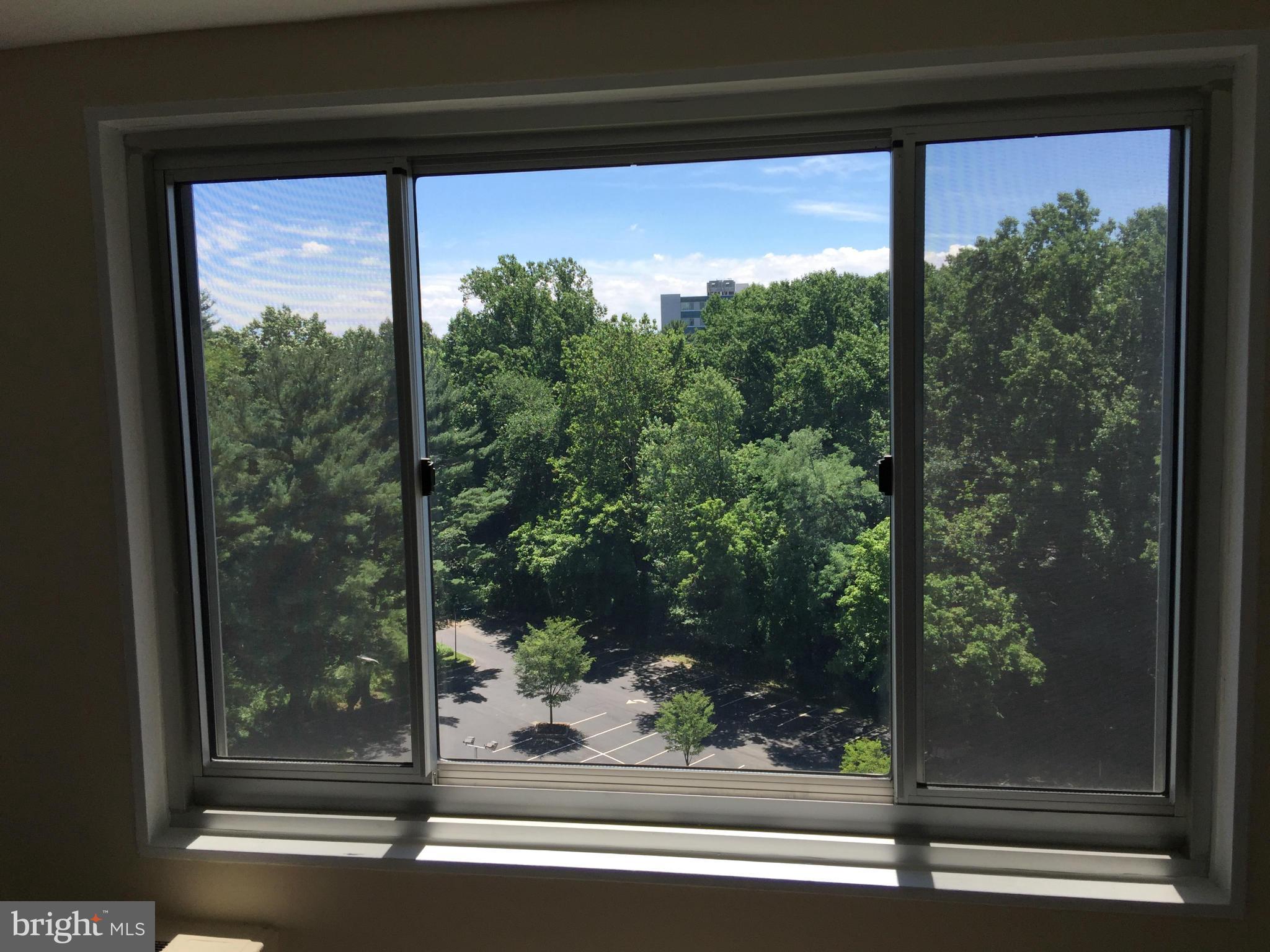 PARK SUTTON CODM - Residential Lease