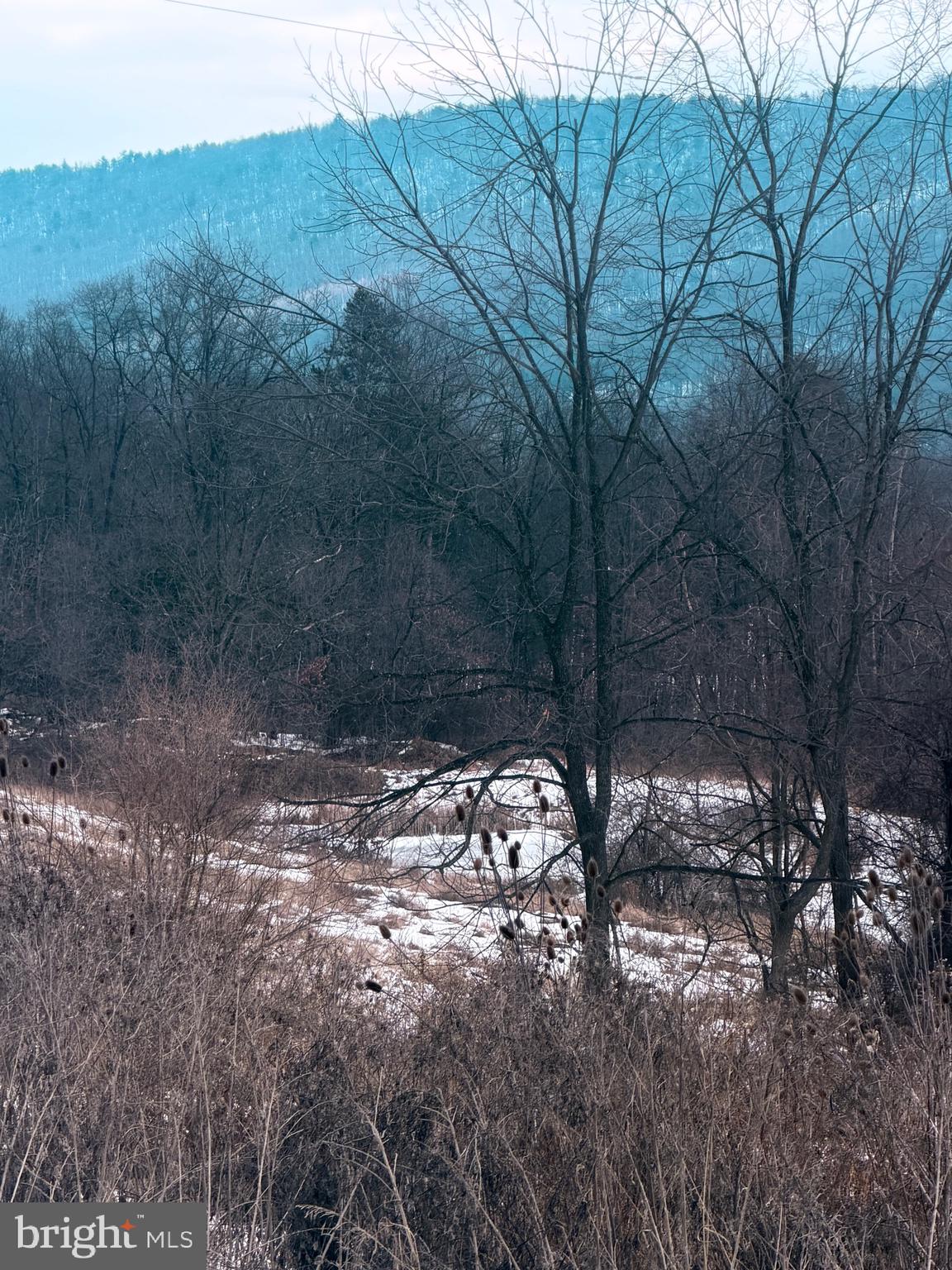 TODD - Residential