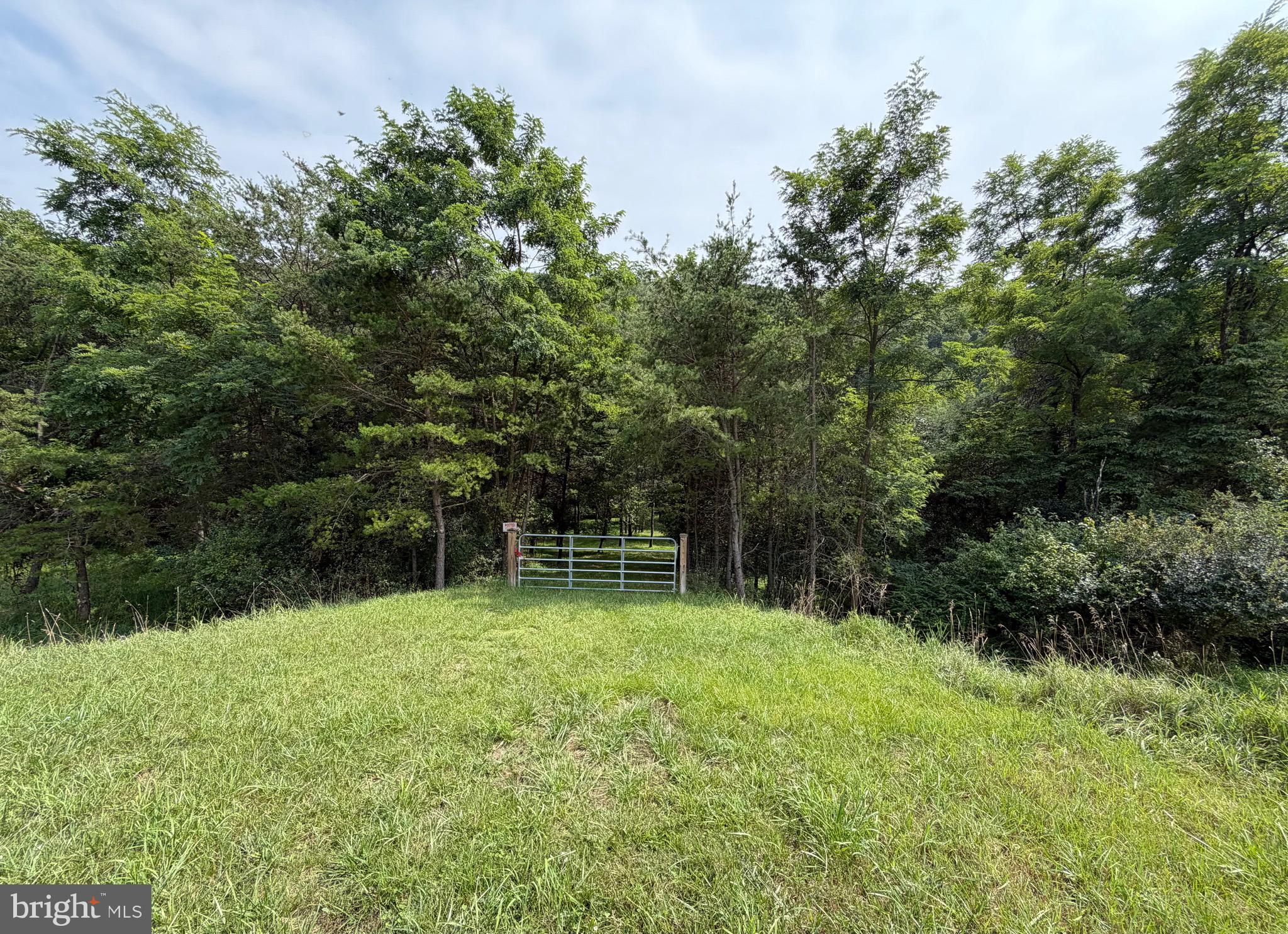 3.12 AC Lot 2 UPPER SKAGGS RUN RD