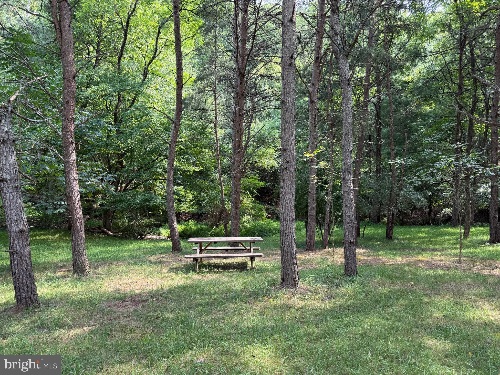 3.12 AC Lot 2 UPPER SKAGGS RUN RD