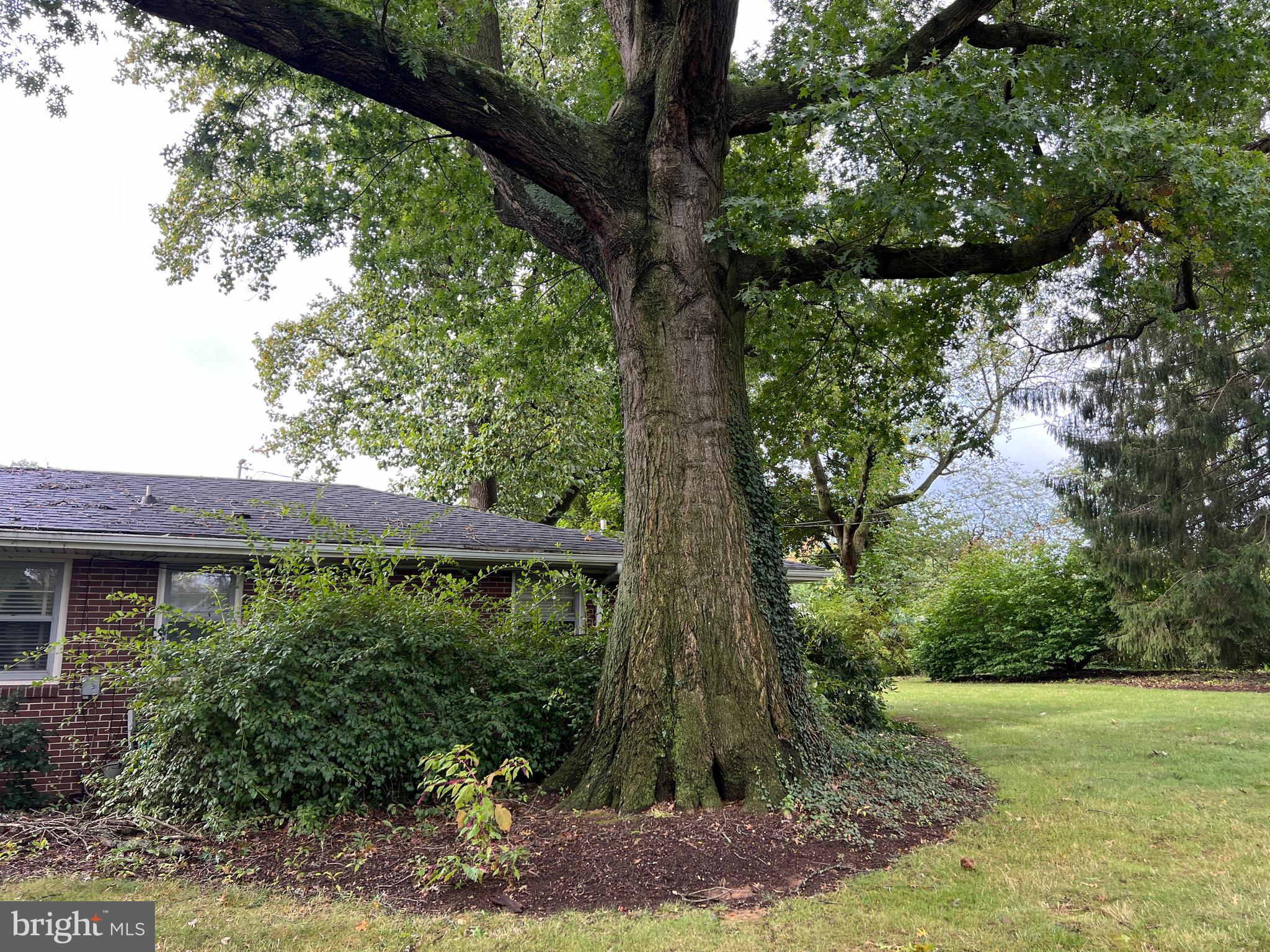 FOUNTAIN HEAD - Residential