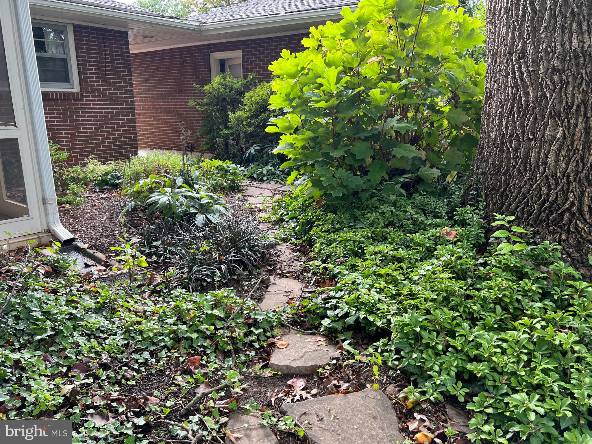 FOUNTAIN HEAD - Residential