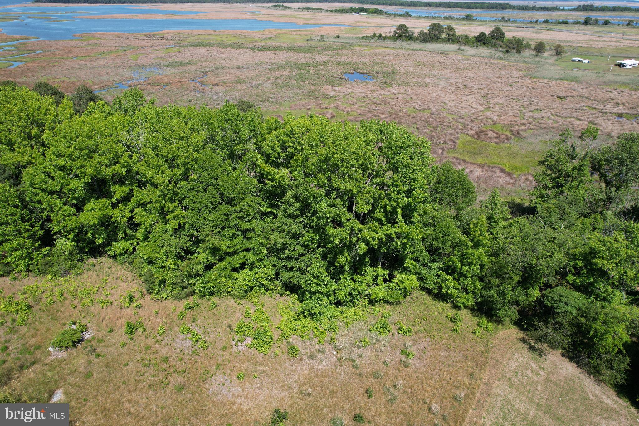 Parcel 228 FISHHOOK LANE