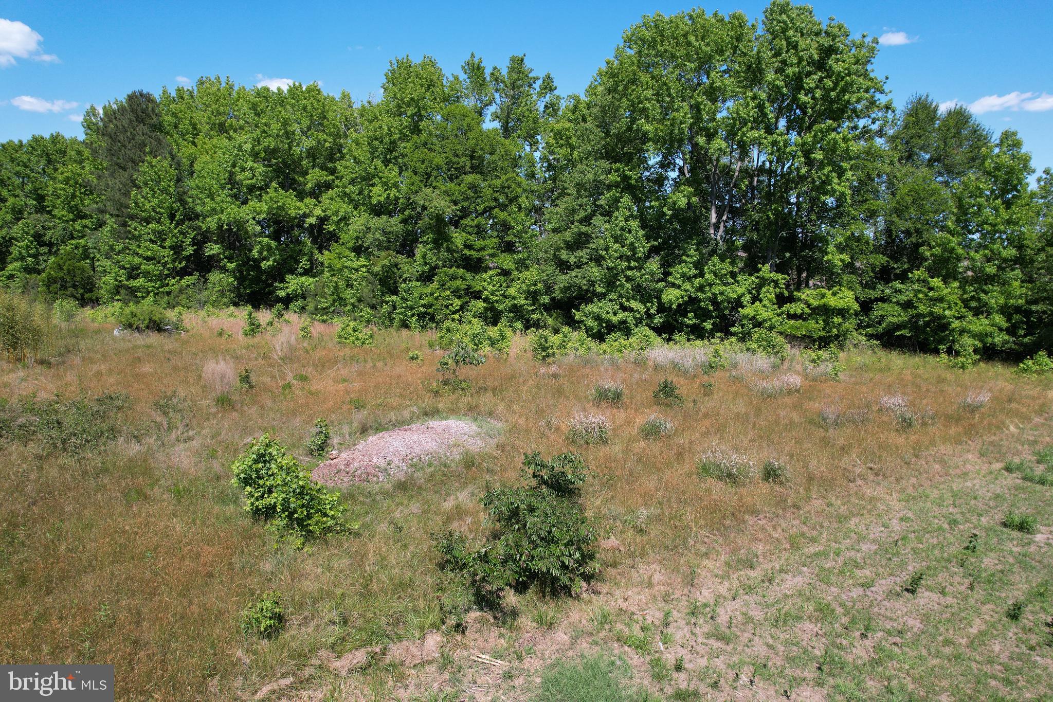 Parcel 228 FISHHOOK LANE
