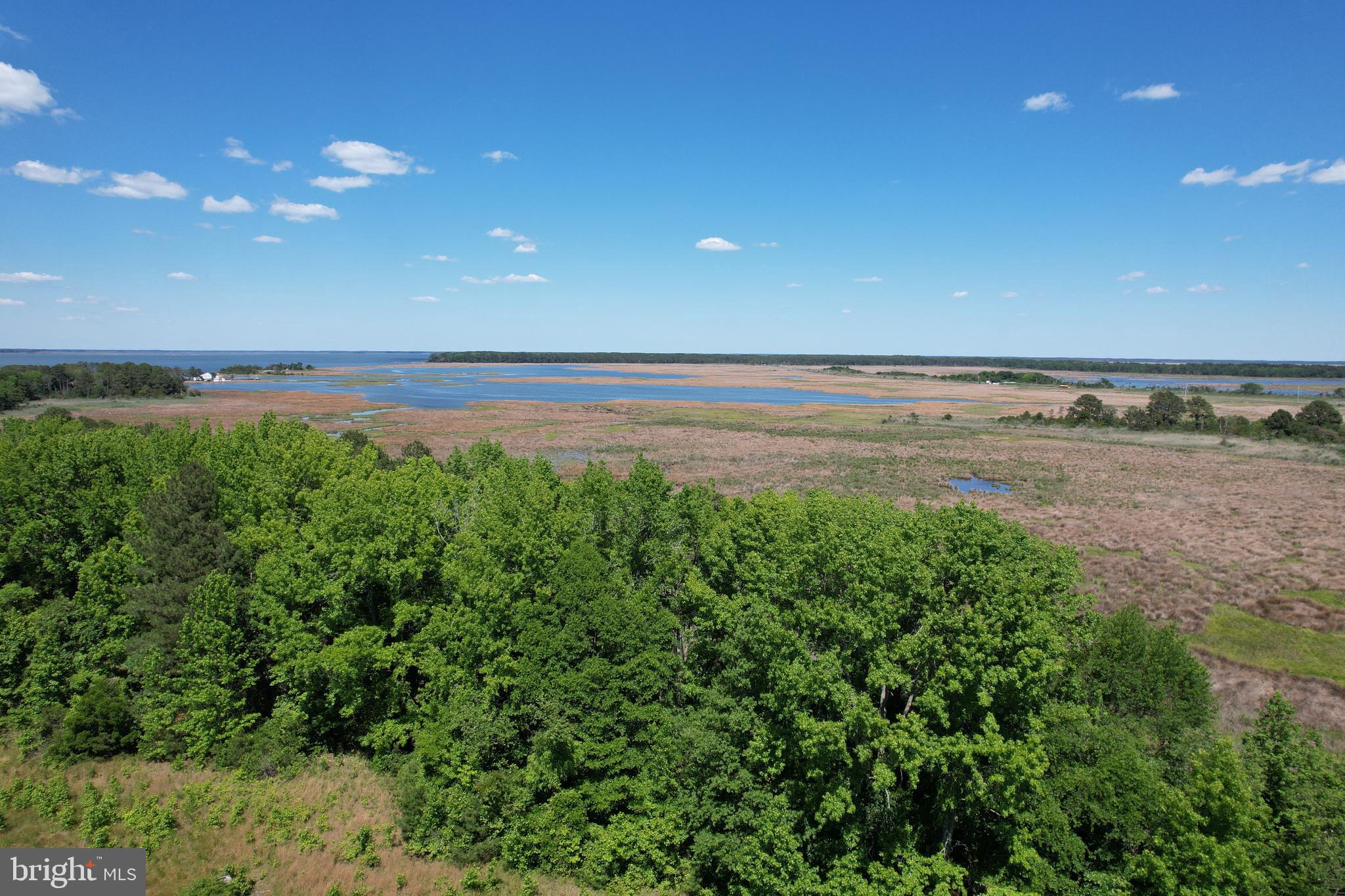 Parcel 228 FISHHOOK LANE