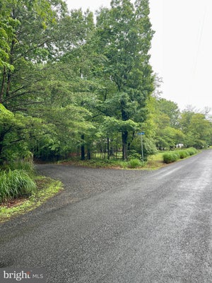 CARSONS WAY, AMISSVILLE, VA 20106 - Image 3e46e541bdfa36e8b7929a7b9a573bcd/588586078