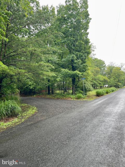 Vacant Land For Sale - Carsons Way<br/> AMISSVILLE, VA 20106
