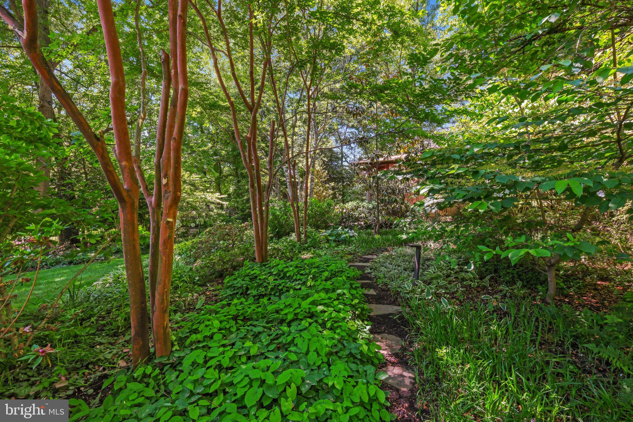 CARDEROCK SPRINGS - Residential
