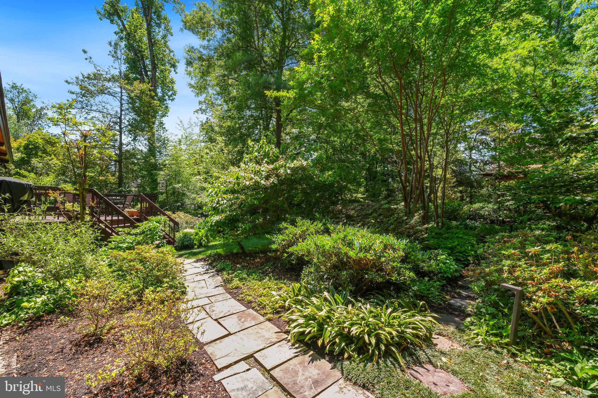 CARDEROCK SPRINGS - Residential