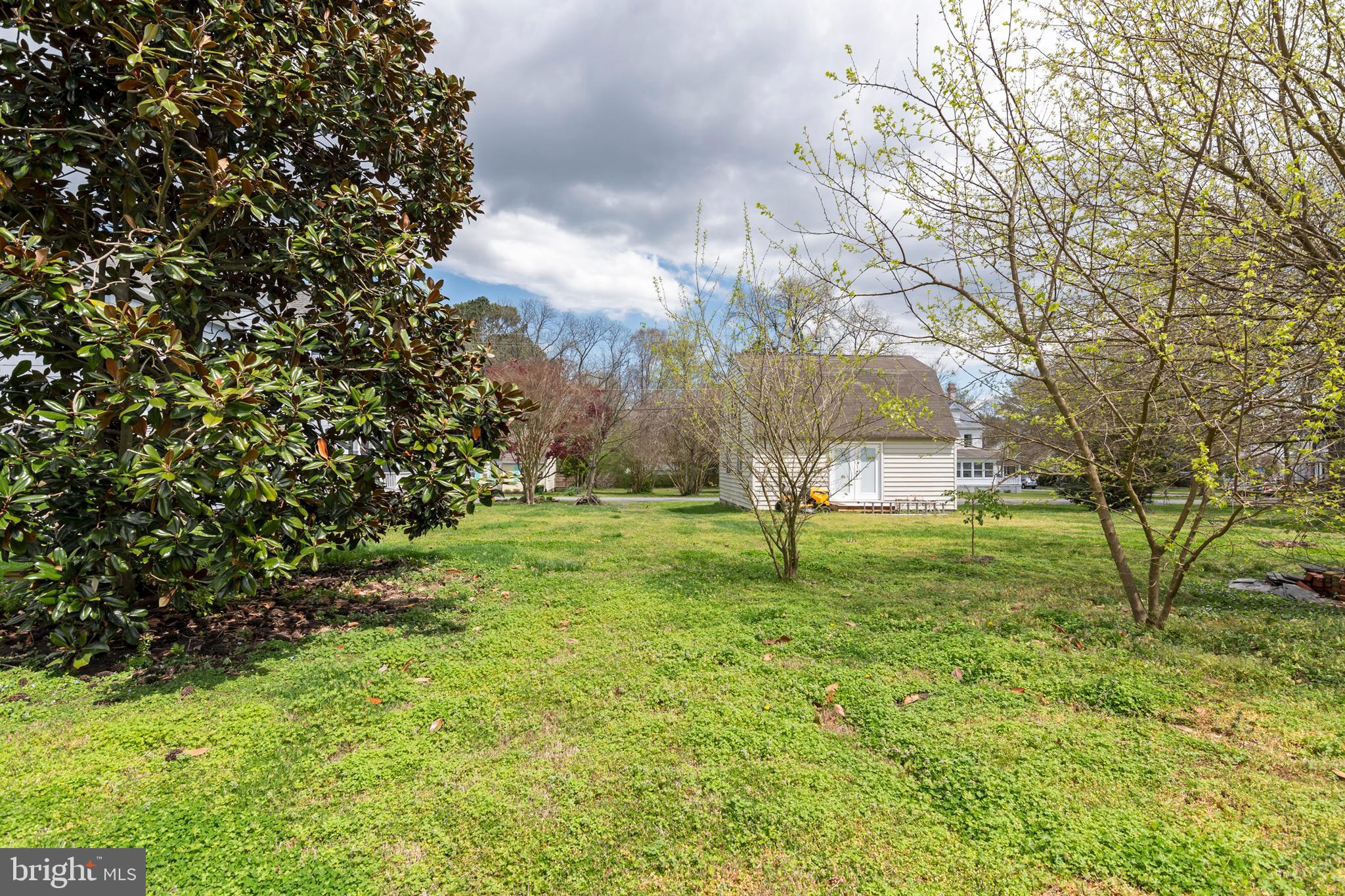 CAMBRIDGE HISTORIC DISTRICT - Residential