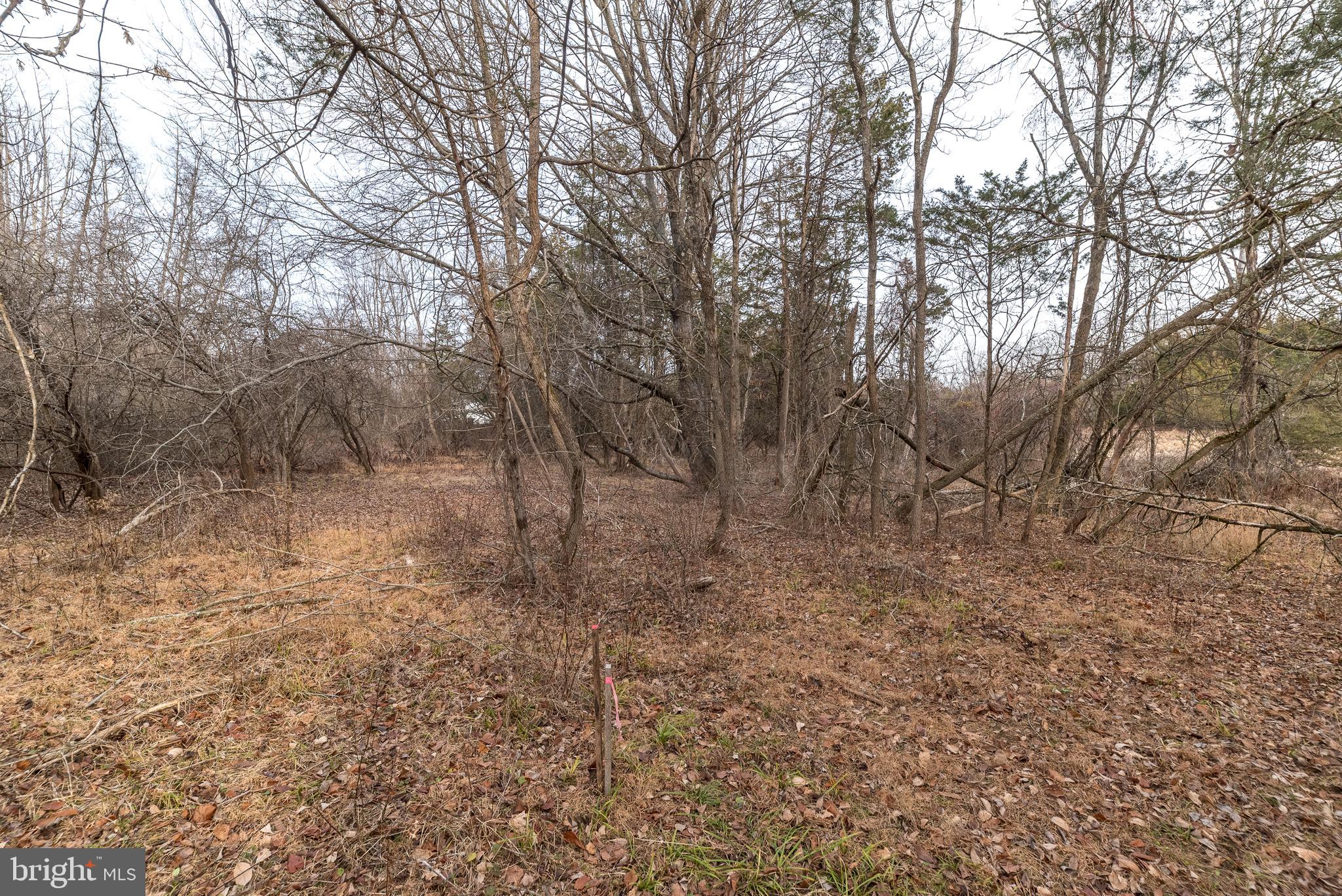 295 E DARK HOLLOW ROAD