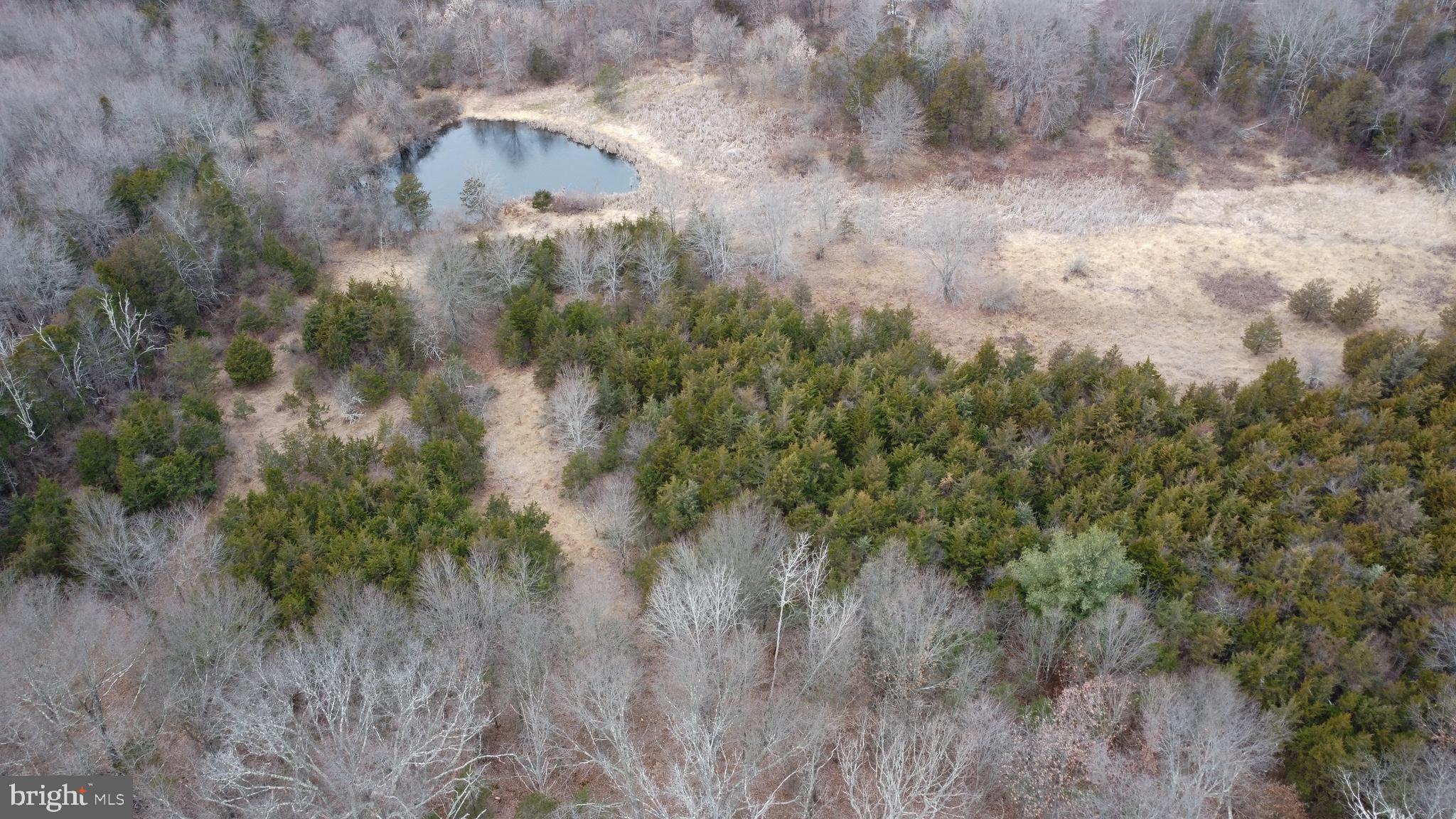 295 E DARK HOLLOW ROAD
