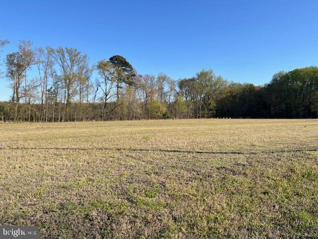 Mainly cleared land with a fringe of trees on the perimeter. 2.42 acres of land just south of the Town of Berlin with no town taxes. Approved for septic and well to build your own home. No agricultural tax to be paid at settlement.