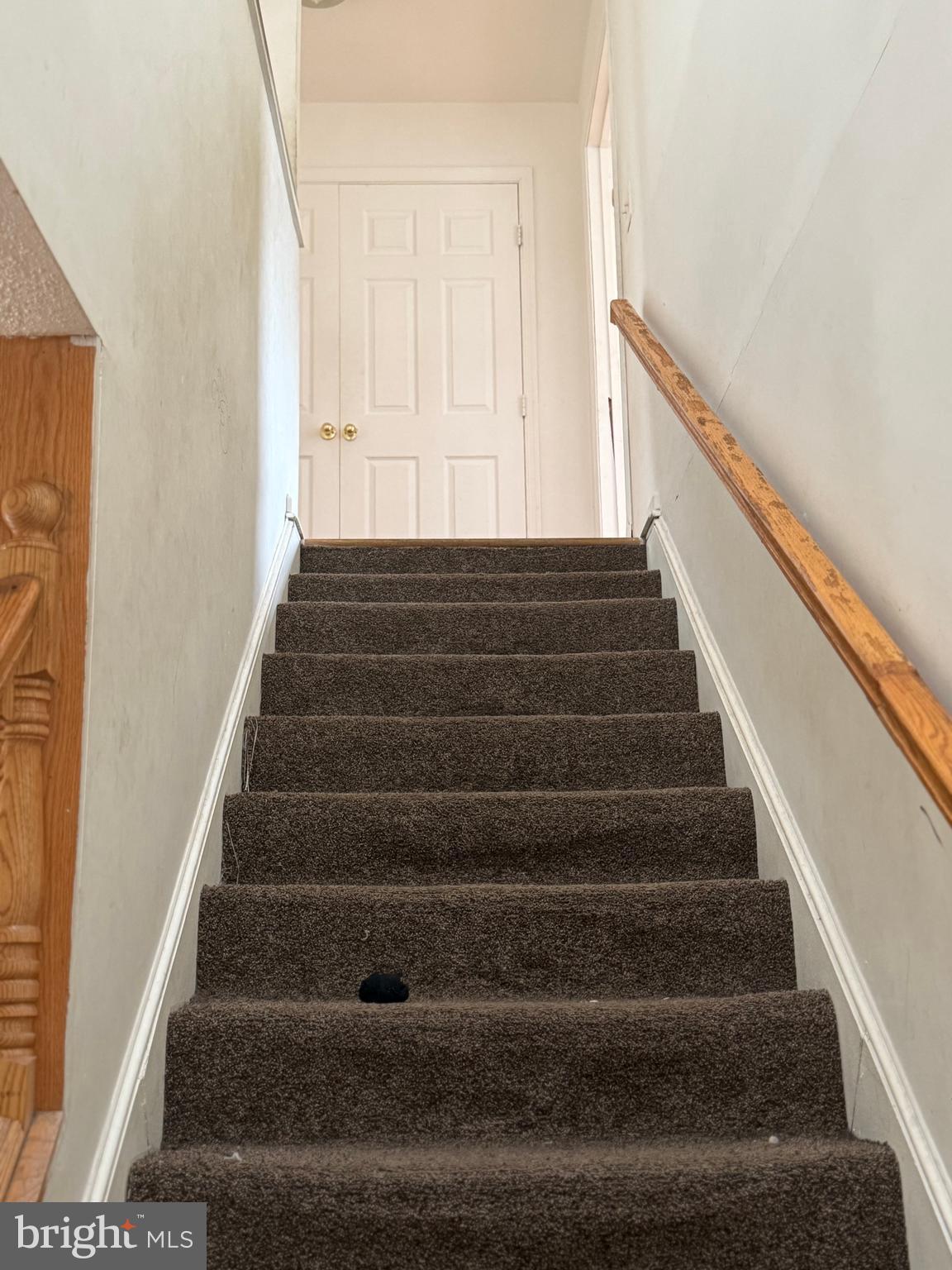 STAFFORD HEIGHTS - Residential