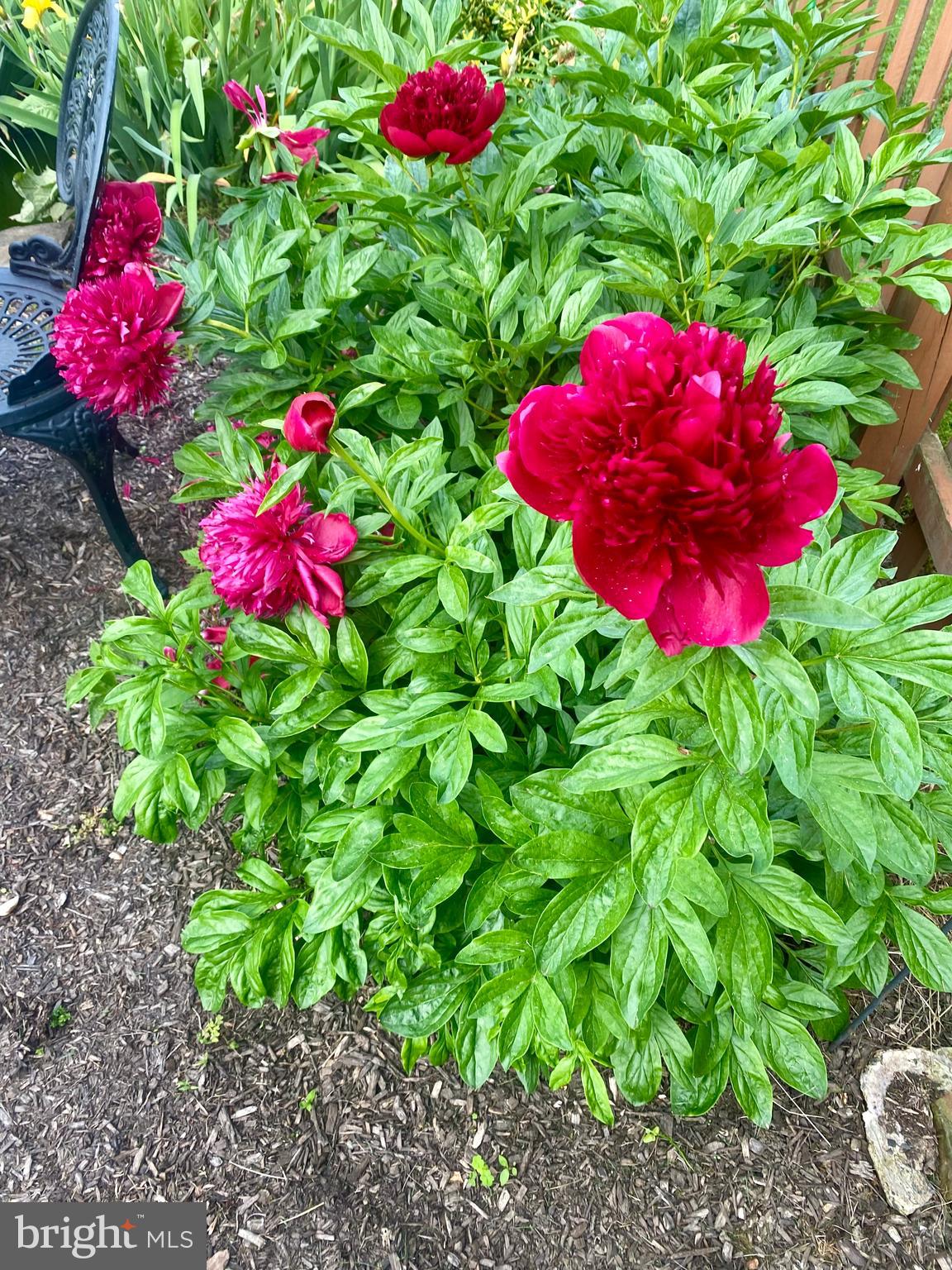 GRIST MILL FARMS - Residential