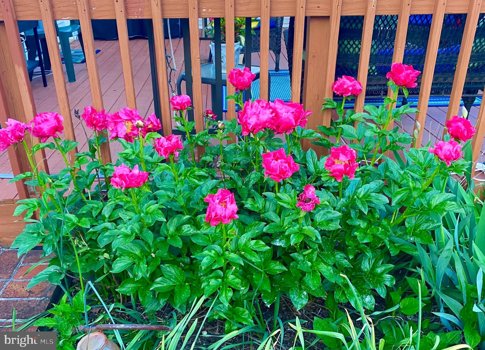 GRIST MILL FARMS - Residential