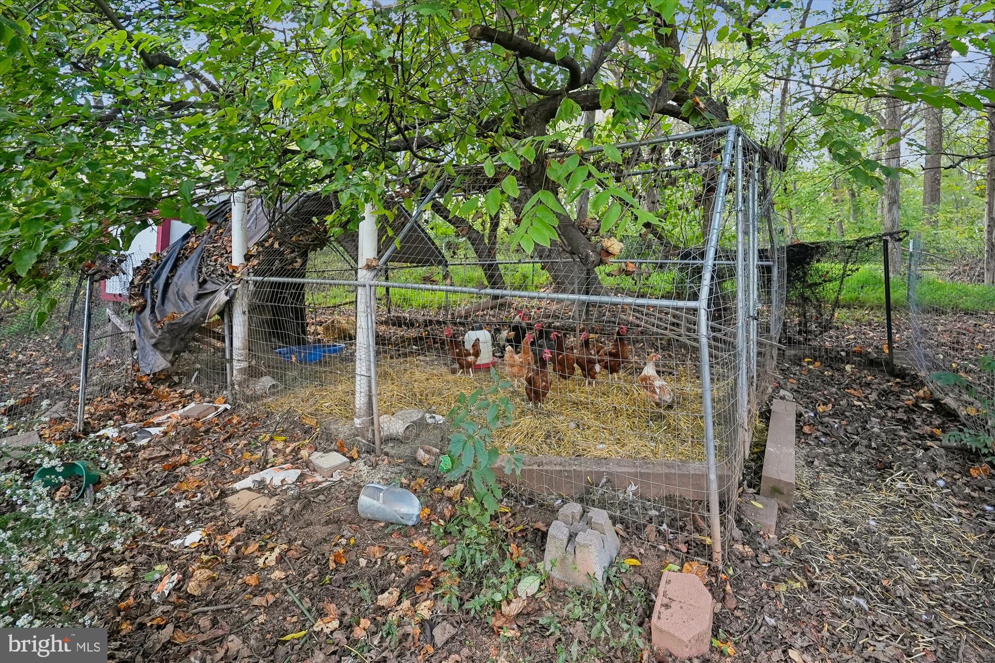 CRESCENT HILLS ESTATES - Residential