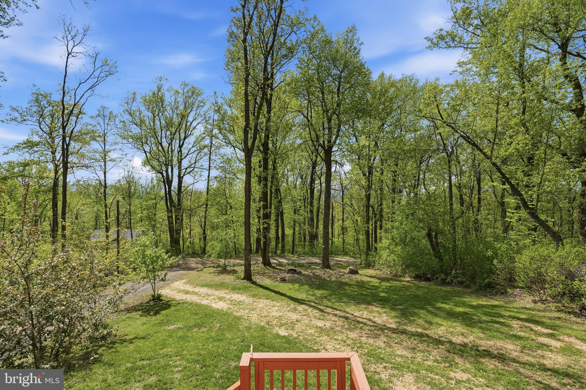 SHENANDOAH FARMS - Residential