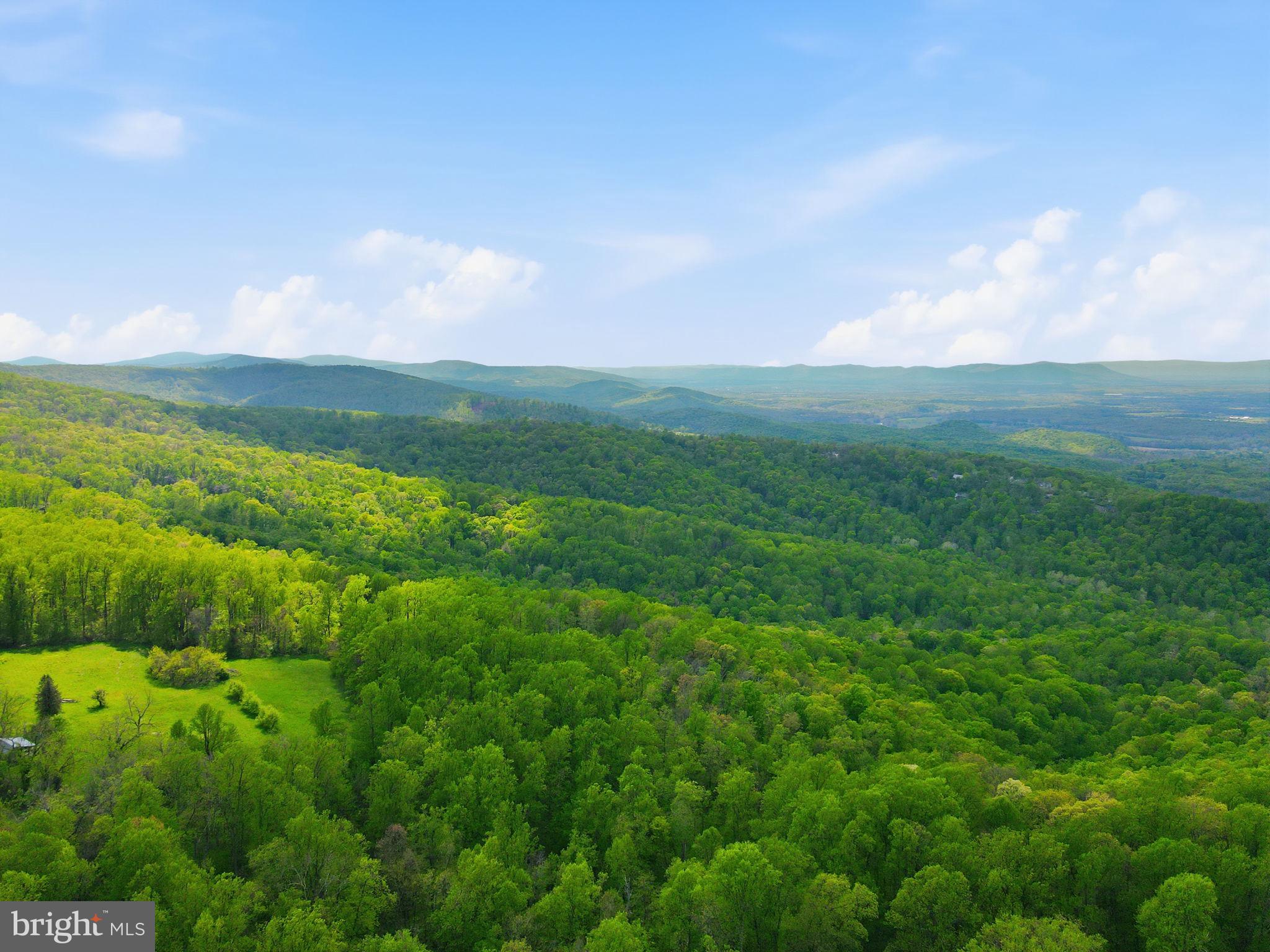 SHENANDOAH FARMS - Residential