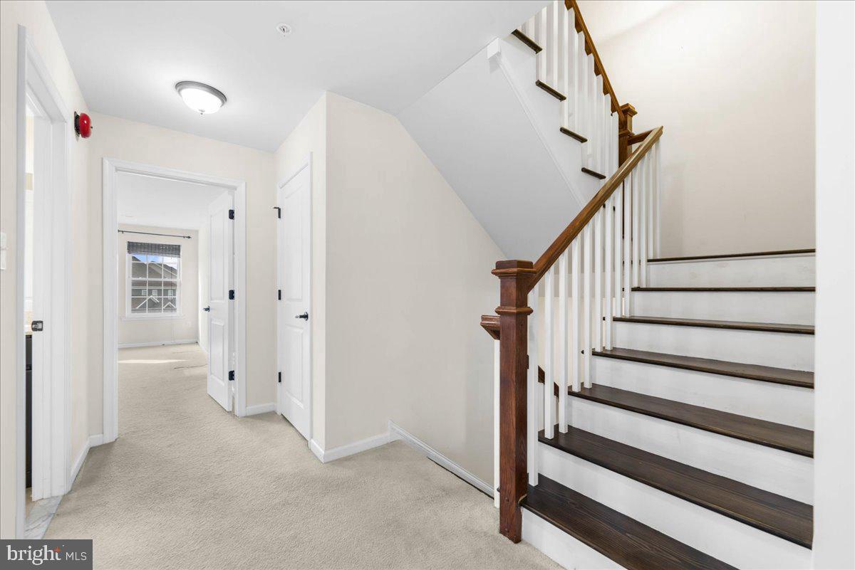 SPRING OAK - Residential