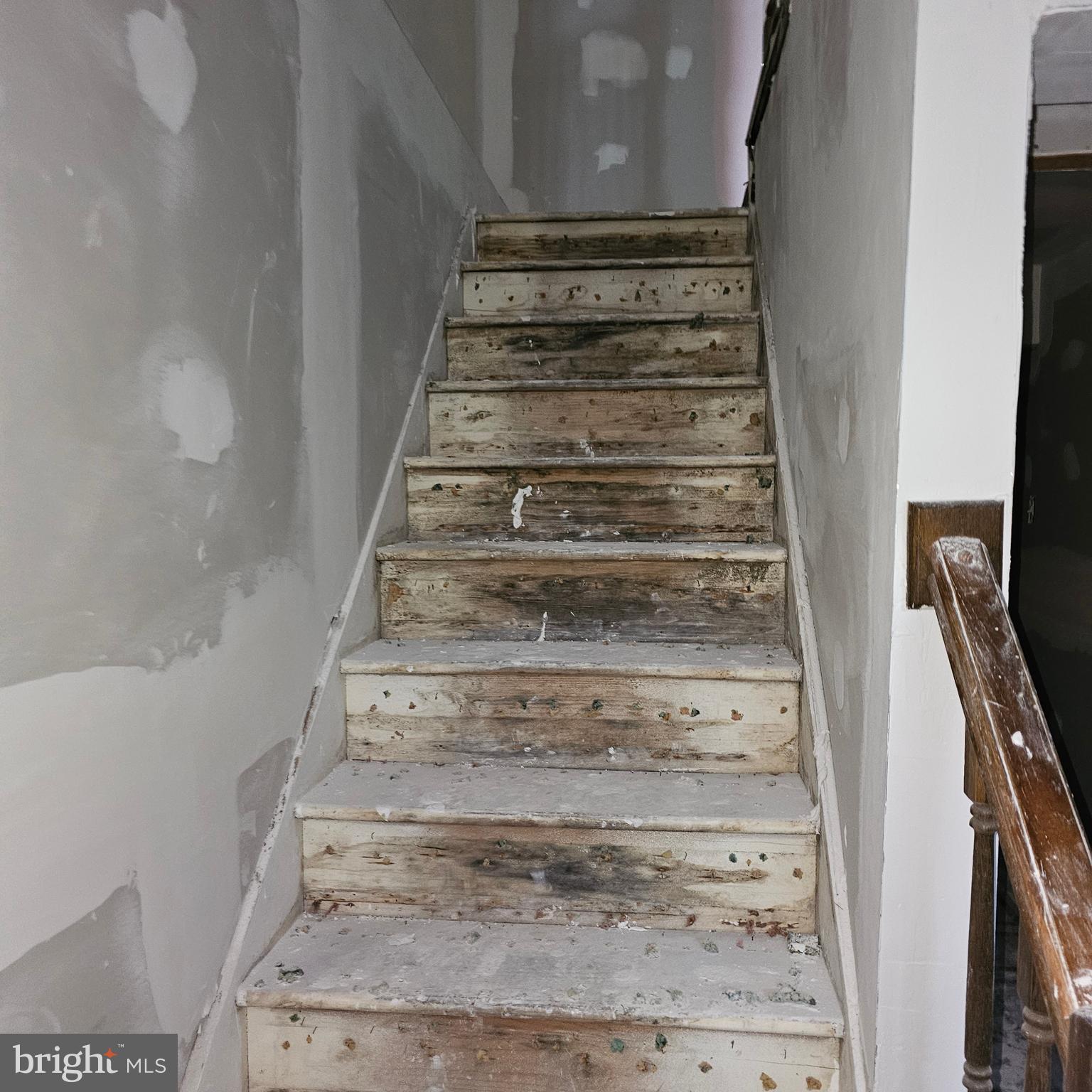 FORESTVILLE PARK - Residential