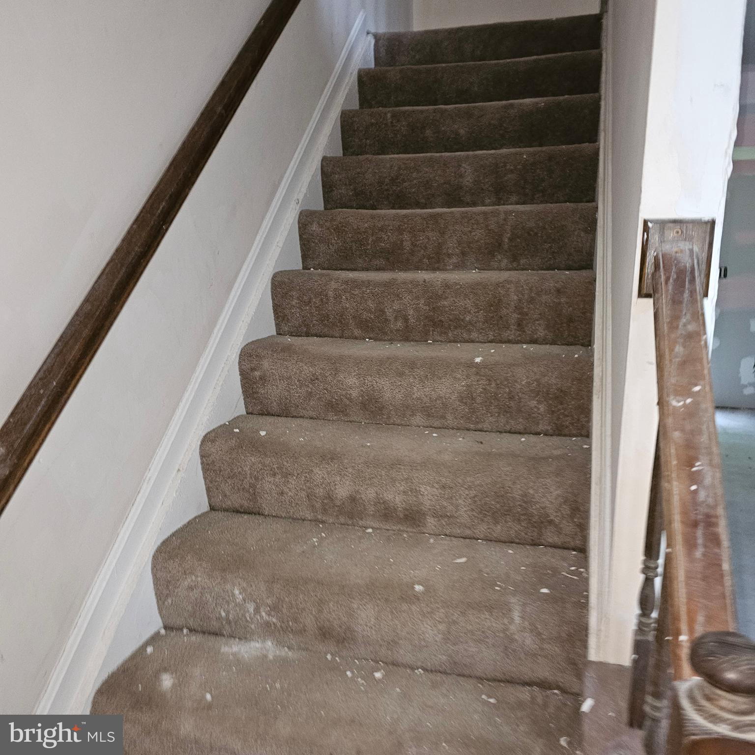 FORESTVILLE PARK - Residential