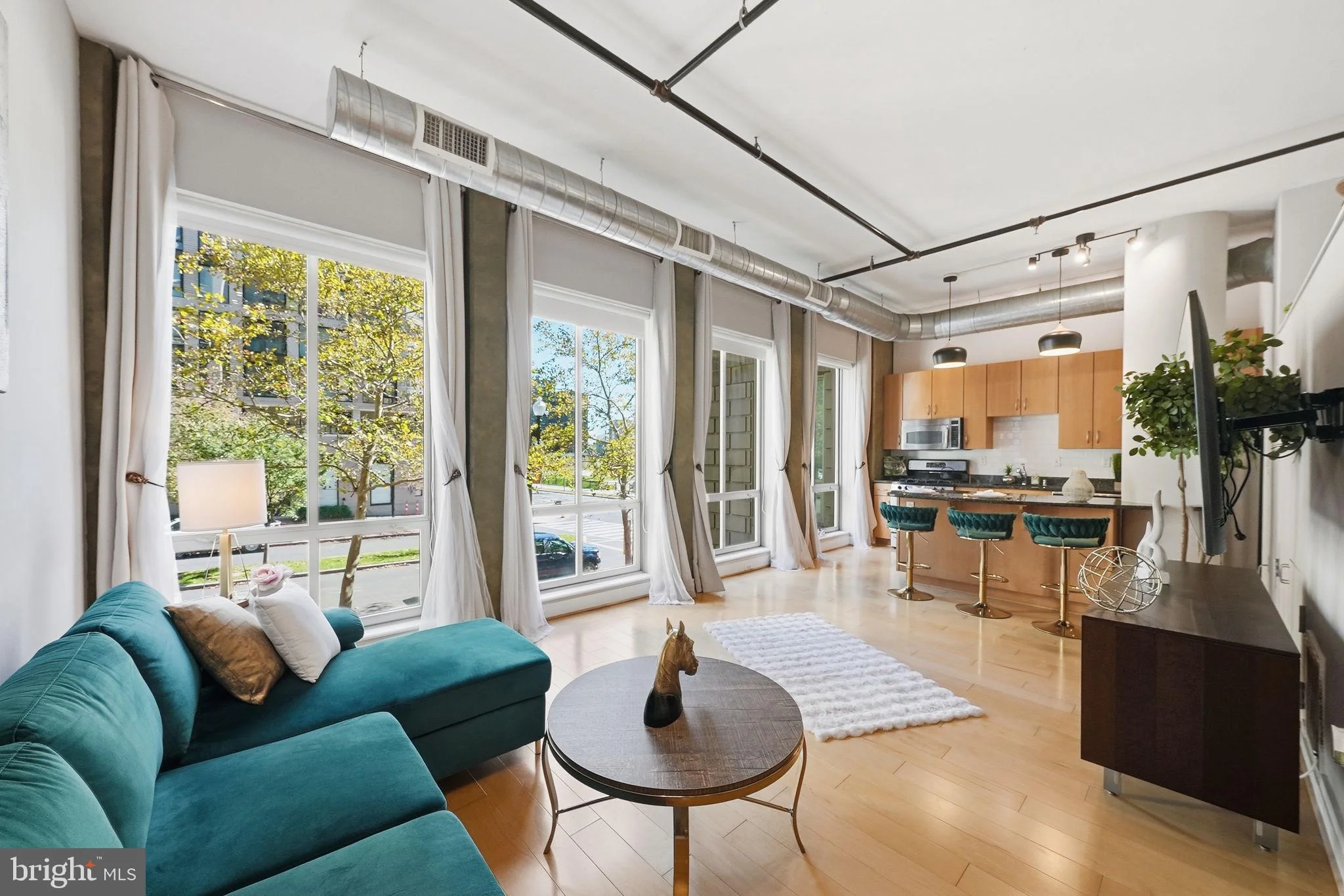 301 Massachusetts Avenue NW Unit 204
