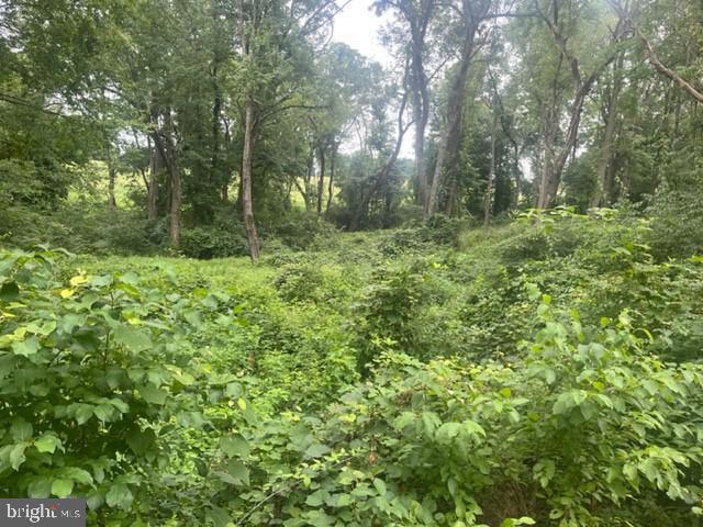 SUSQUEHANNA TRAILS - Land