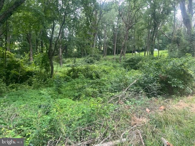 SUSQUEHANNA TRAILS - Land