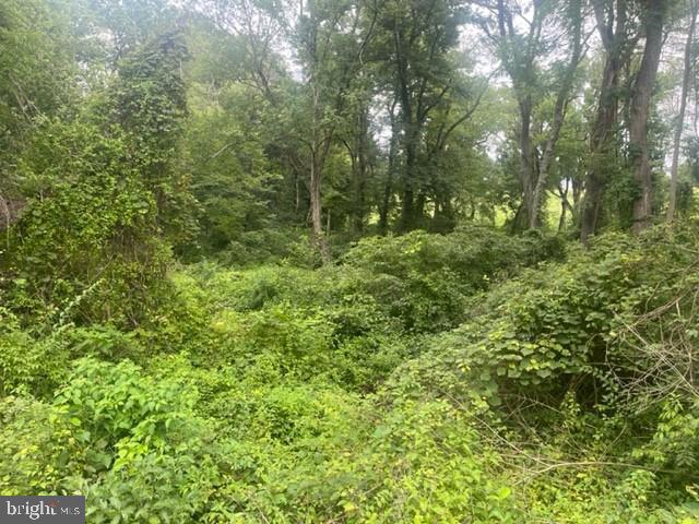 SUSQUEHANNA TRAILS - Land