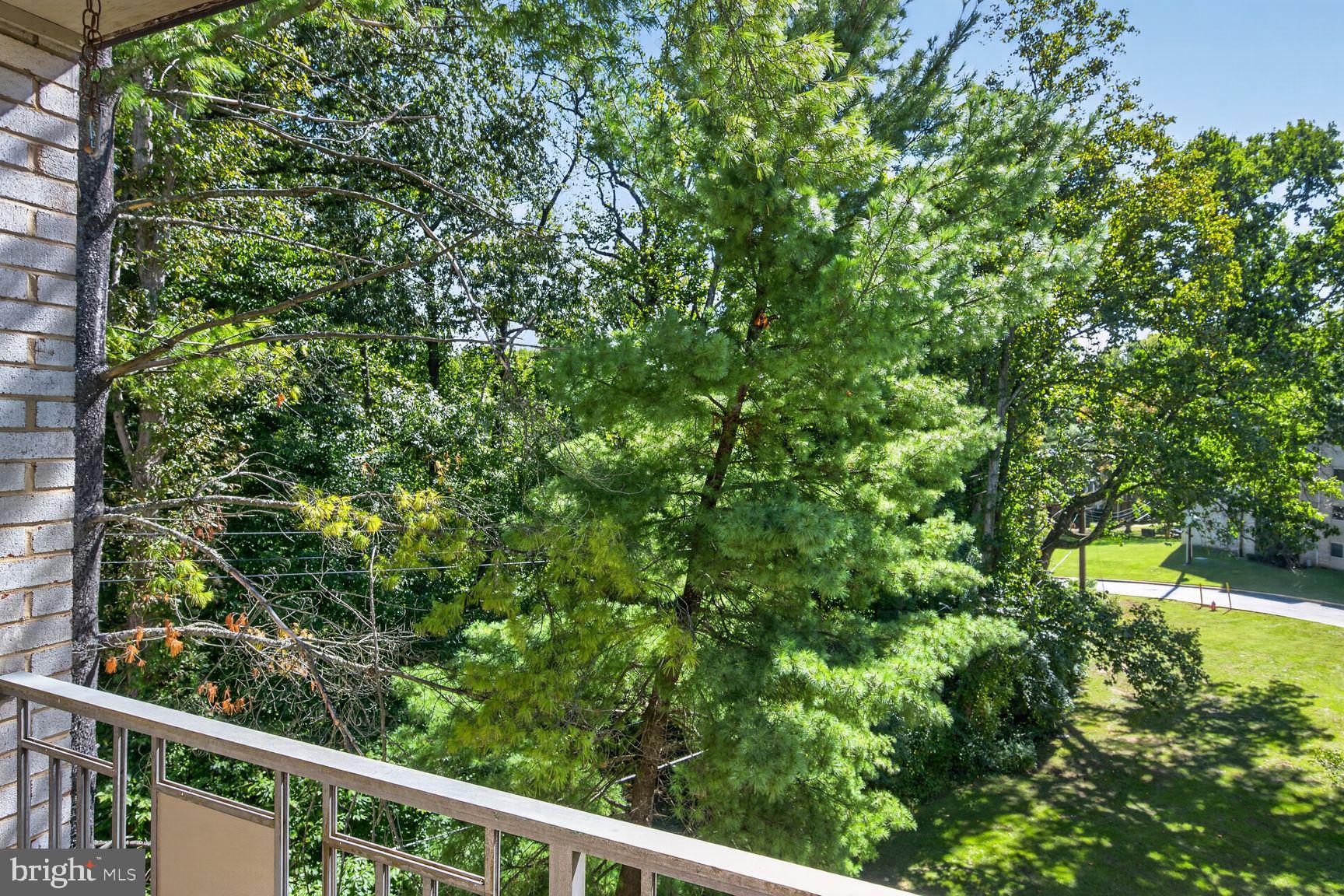12307 BRAXFIELD COURT 423