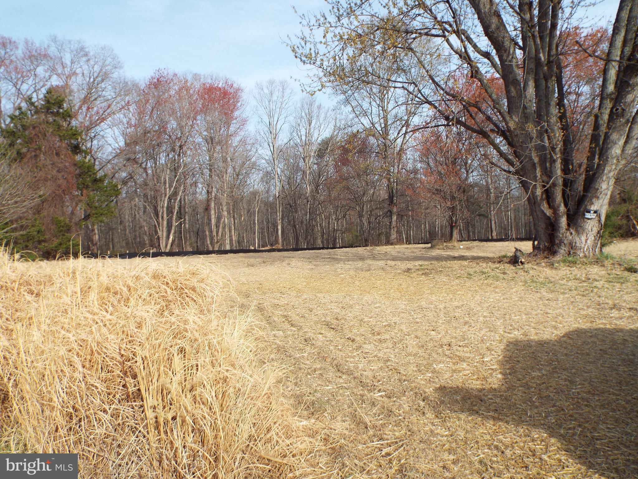 11745 WINDY ACRES LANE