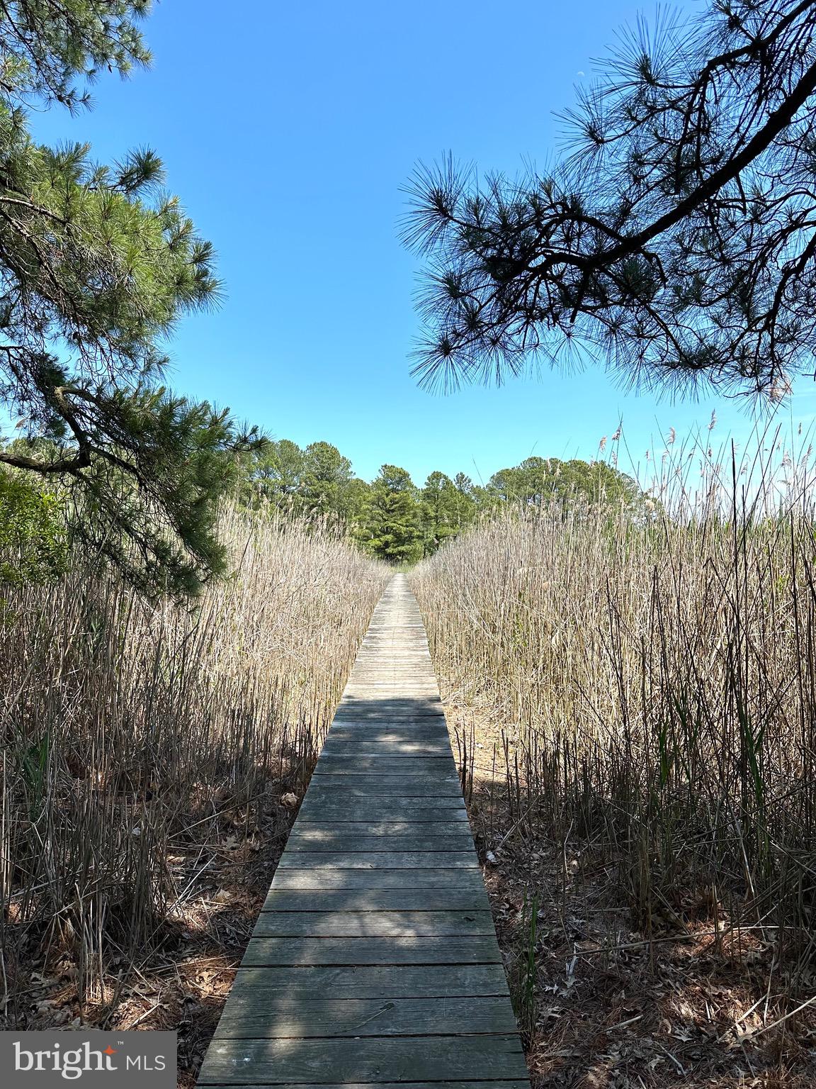 DUNDEE HARBOR - Residential