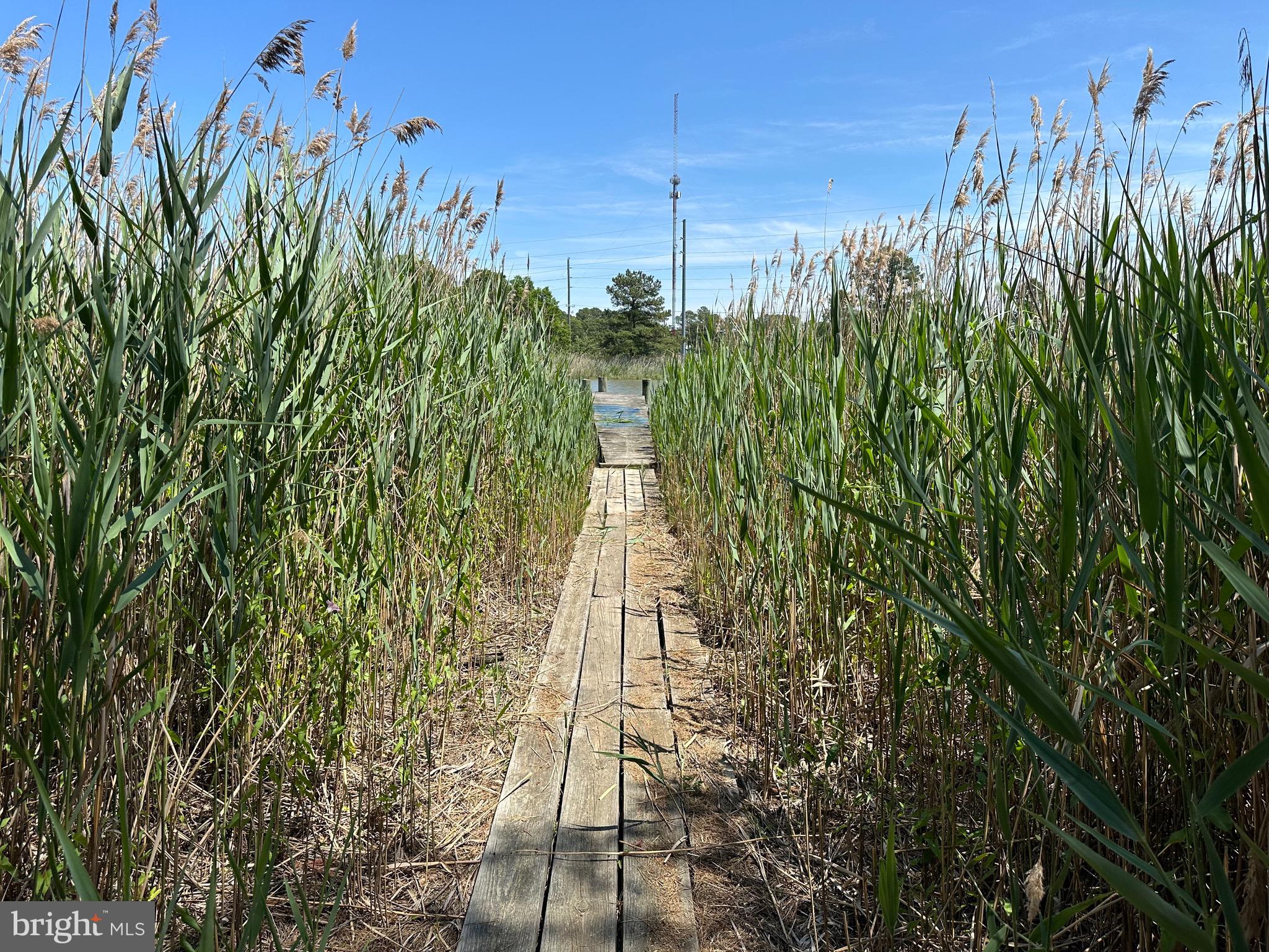DUNDEE HARBOR - Residential