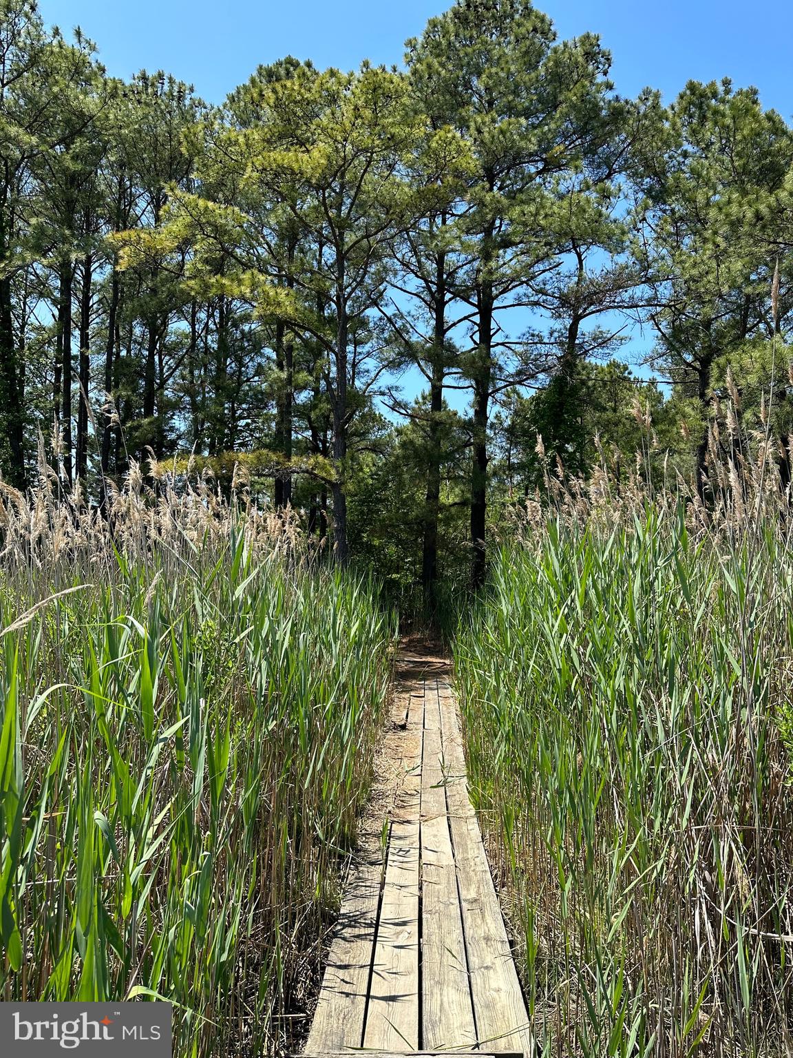 DUNDEE HARBOR - Residential