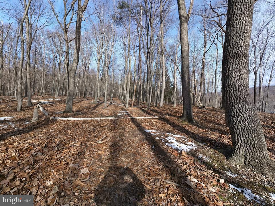 PARKHILL VIEWS - Land