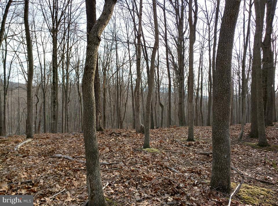 PARKHILL VIEWS - Land