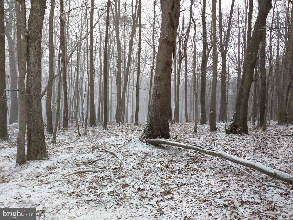 PARKHILL VIEWS - Land