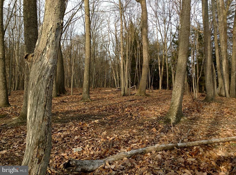 PARKHILL VIEWS - Land