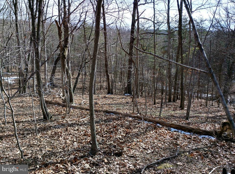 PARKHILL VIEWS - Land