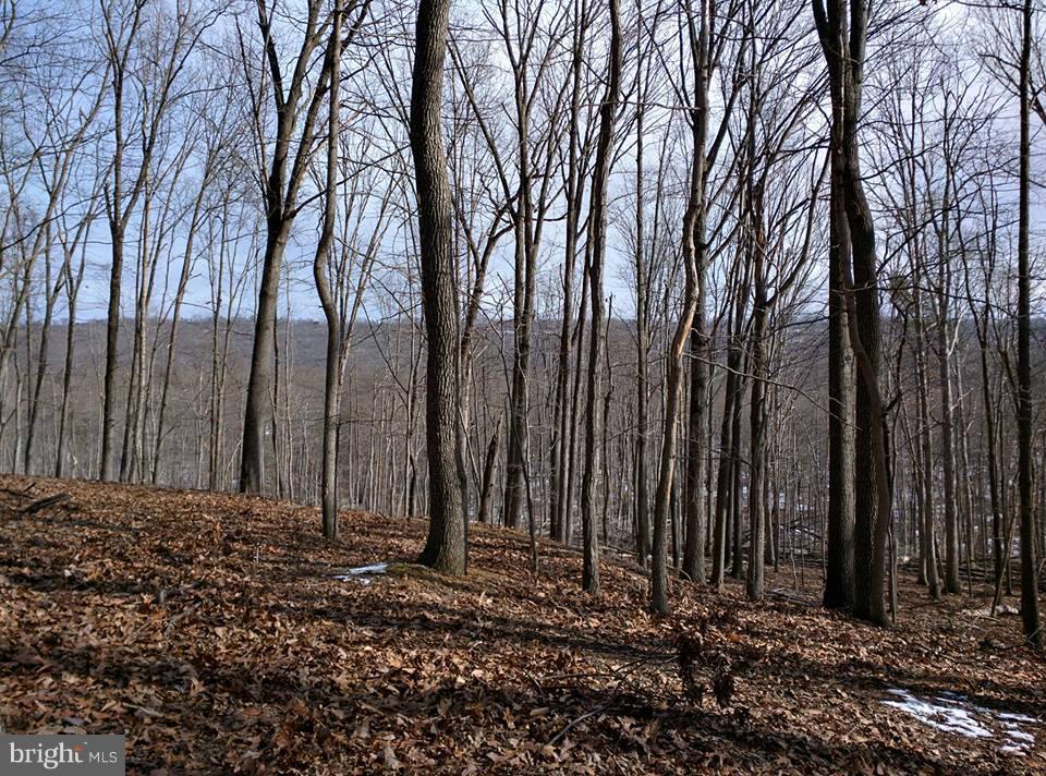 PARKHILL VIEWS - Land